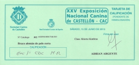 EXC 1ª CAC MR Castellón